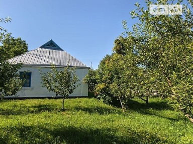 Шевченка вулиця, Медвин, вул. Шевченка 35 • ID 34645639