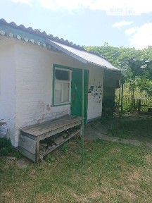 Рогізна
