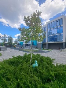 Київська область, Ірпінь