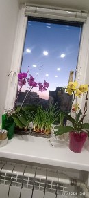 Дніпропетровська область, Дніпро, Новокодацький
