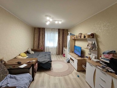 Дніпропетровська область, Кам'янське