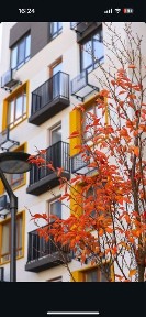 Київська область, Ірпінь