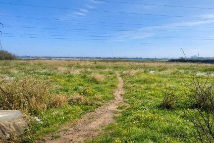 Продаж будинку Кременчук + 50 соток землі.