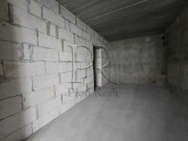 Київська область, Київ, Голосіївський