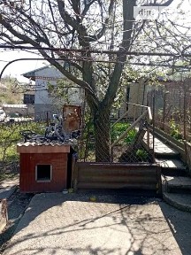 Продаж 1 поверхового будинку з ділянкою на 7 соток, 31.9 кв. м, 1 кімната, на пров. Баженова 41 • ID 34641353