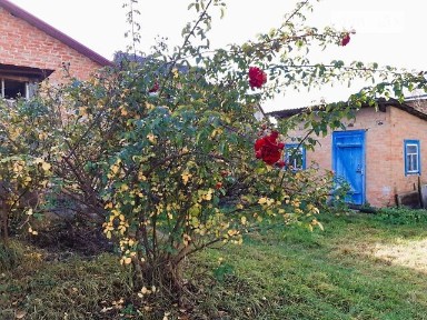 Продаж частини будинку на вул. Драгоманова Михайла, 2 кімнати • ID 33745409