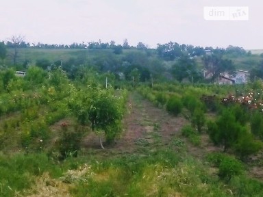 Ониськове, Центральная, 1 кімната • ID 33557885