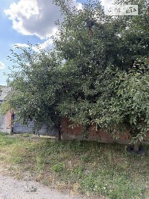 вулиця Василя Кричевського, мікрорайон Старе місто, район Староміський, Вінниця, вул. Василя Кричевського, 4 кімнати • ID 33436412