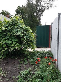 вул. Центральна, 2 кімнати • ID 33269718