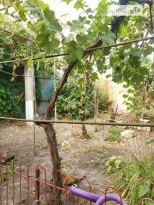 Куликовський 2-й провулок, район Приморський, Одеса, 2-й пров. Куликовський, 2 кімнати • ID 33136008