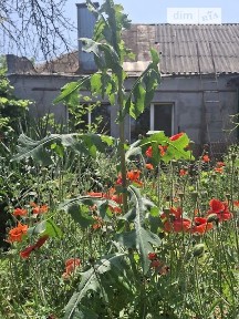 Продаж частини будинку на просп. Свободи, 3 кімнати • ID 32921736