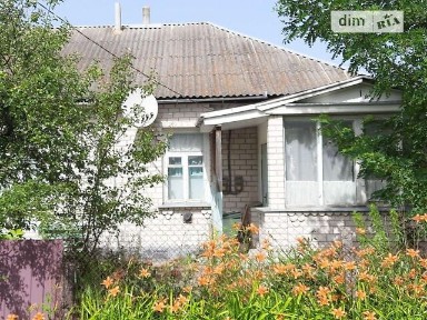 Ватутіна вулиця, Андрушівка, вул. Ватутіна 15, 4 кімнати • ID 31844134