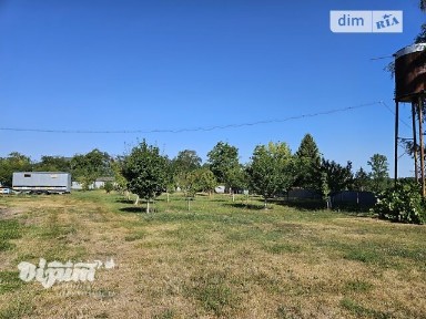 Тараса Шевченка вулиця, Дичків, вул. Тараса Шевченка, площа 300 кв. м • ID 34648164