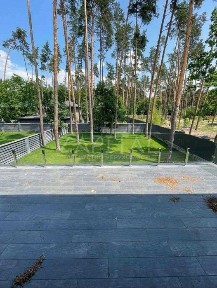Київська область, Плюти