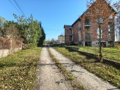 Житомирська область, Дениші