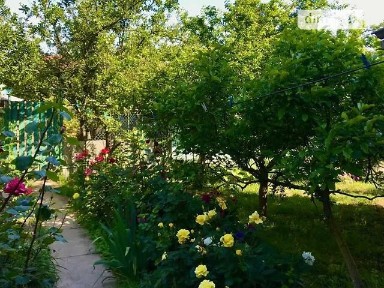 Оренда будинку на добу на вул. Виноградна, 4 кімнати, спальних місць - 10 • ID 31785987
