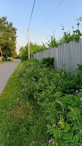 Київська область, Пилипча