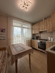 Київська область, Ірпінь