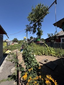 Продам будинок р. н Дуби