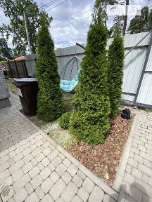 Кленова вулиця, Ворзель, вул. Кленова • ID 34394921
