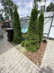 Продаж 2 поверхового таунхауса з ділянкою на 2 сотки, 75 кв. м, 3 кімнати, на вул. Кленова • ID 34394921