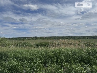 Ярослава Мудрого вулиця, Михайлівка-Рубежівка (Ірпінь), вул. Ярослава Мудрого • ID 34334662