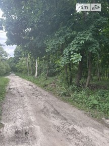 Київська вулиця, Ірпінь, вул. Київська • ID 34324300