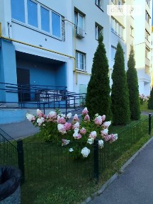Ньютона вулиця, район Слобідський, Харків, вул. Ньютона • ID 34652753
