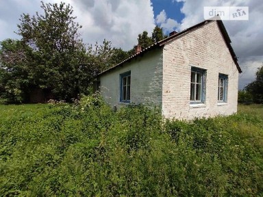Здається спеціальне приміщення на вул. Шевченка 29, площа 71.5 кв. м • ID 34628463