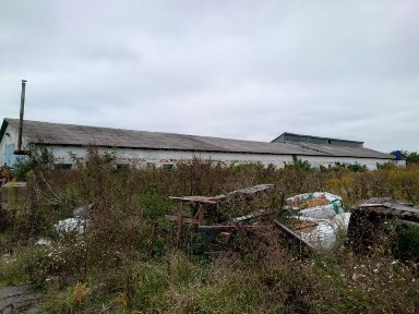 Здам в оренду виробничі, складські приміщення, територію.