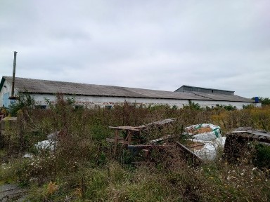 Здам в оренду виробничі, складські приміщення, територію.
