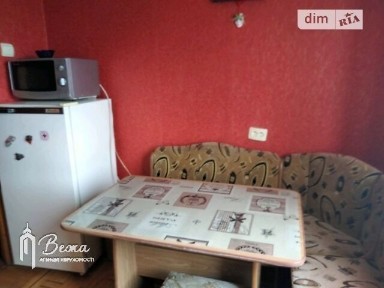 Довготривала оренда 1к квартири на вул. Пирогова 25 • ID 34325847
