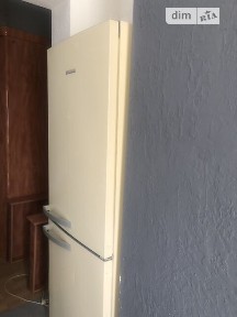 Довготривала оренда 1к квартири на вул. Жоліо-Кюрі • ID 34084901