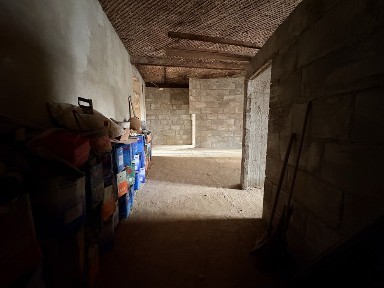 Харківська область, Харків, Шевченківський