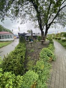 Черкаська область, Умань