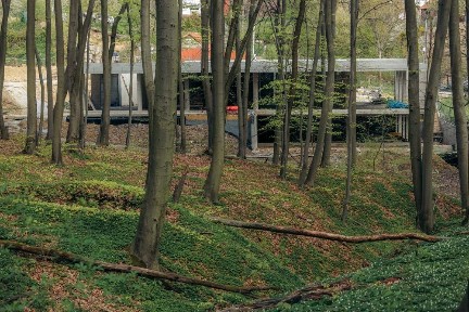 Преміальний будинок 500 м² поруч з лісом у Львові