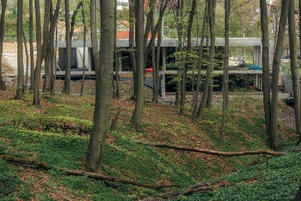 Преміальний будинок 500 м² поруч з лісом у Львові