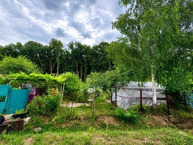 Продам дачу біля лісу, 13 км від Білої Церкви, Володарська траса