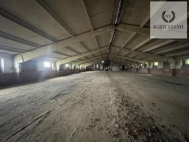 вулиця Тараса Шевченка, Буцнів, площа 1563 кв. м • ID 34646425