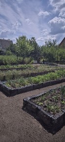 Продається дача в лісі решкут