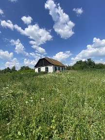 Терміново продам житловий будинок з великою земельною ділянкою в смт. Брусилів (Морозівка) 75 км. від м. Києва