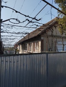 Закарпатська область, Берегуйфалу