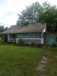 Будинок з господарськими будівлями, 50 соток, Нова Ушиця, с. Івашківці