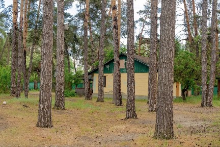 Київська область, Пірнове