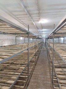 Продаж прибуткового заводу
