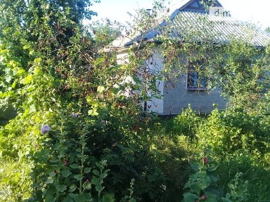 Продаж 1 поверхового будинку з ділянкою на 17 соток, 43 кв. м, 2 кімнати, на вул. Замостянська 28 • ID 34657127