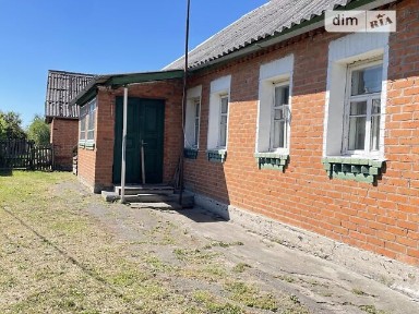 Толочина вулиця, Іванків, вул. Толочина • ID 34656754