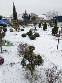 Одеська область, Фонтанка