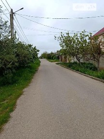 Світле, Кузнецкая • ID 34658781
