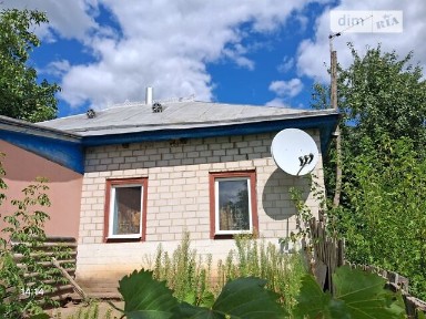 Продаж 1 поверхового будинку з гаражем і ділянкою на 42 сотки, 57.8 кв. м, 1 кімната, на Вишнева • ID 34662192